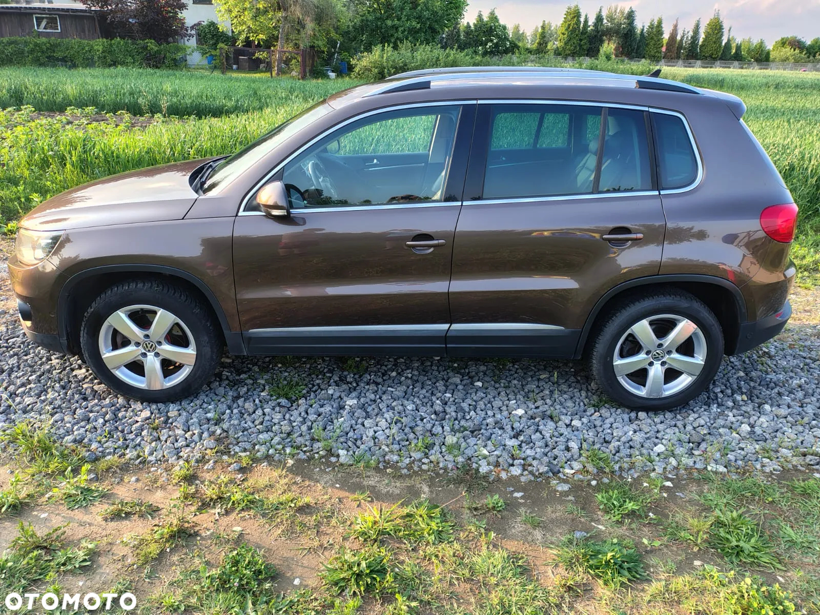 Volkswagen Tiguan - 5