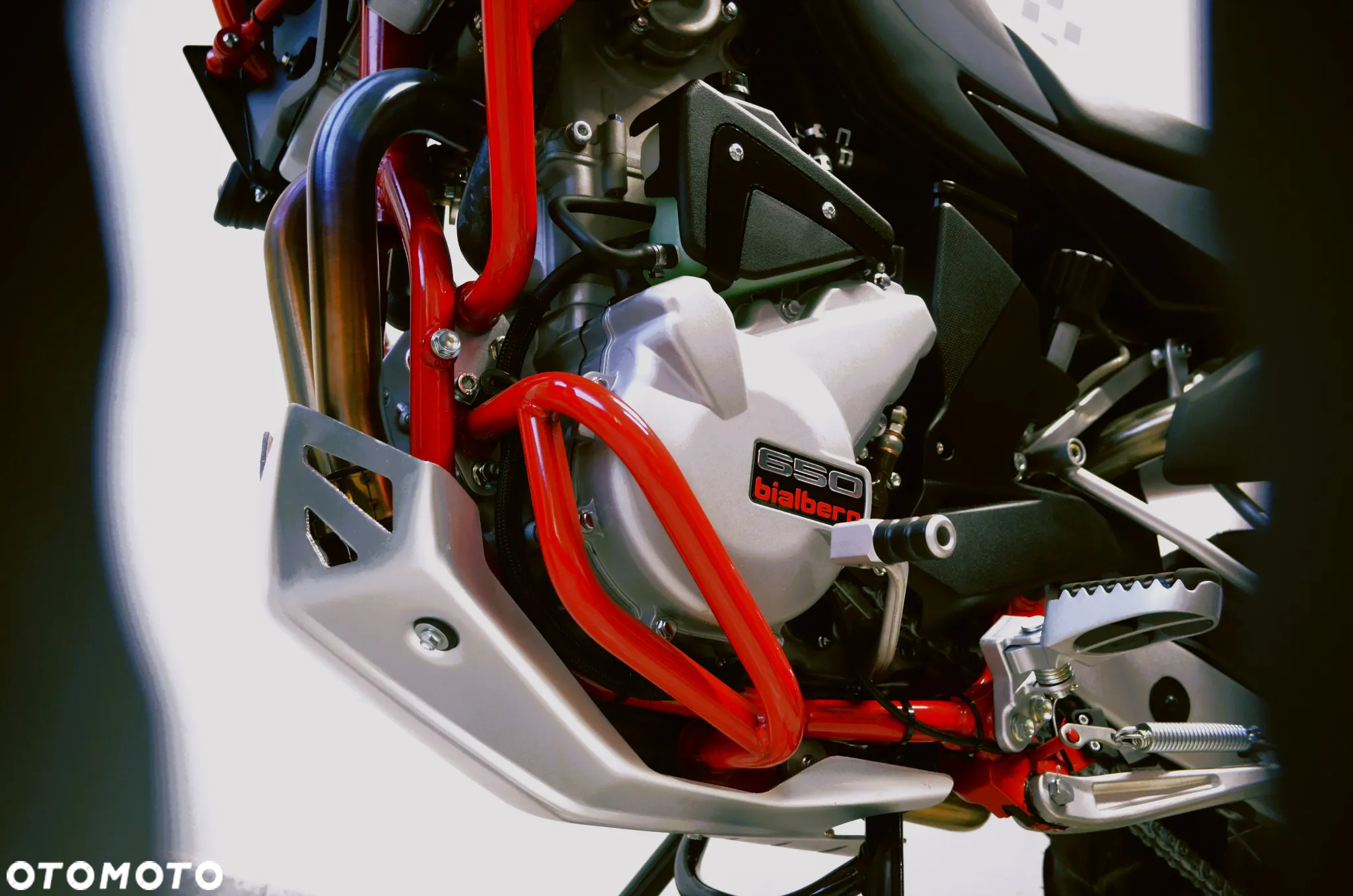 SWM Super Dual T - 10
