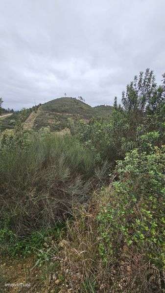 Terreno em Mação - Grande imagem: 4/11