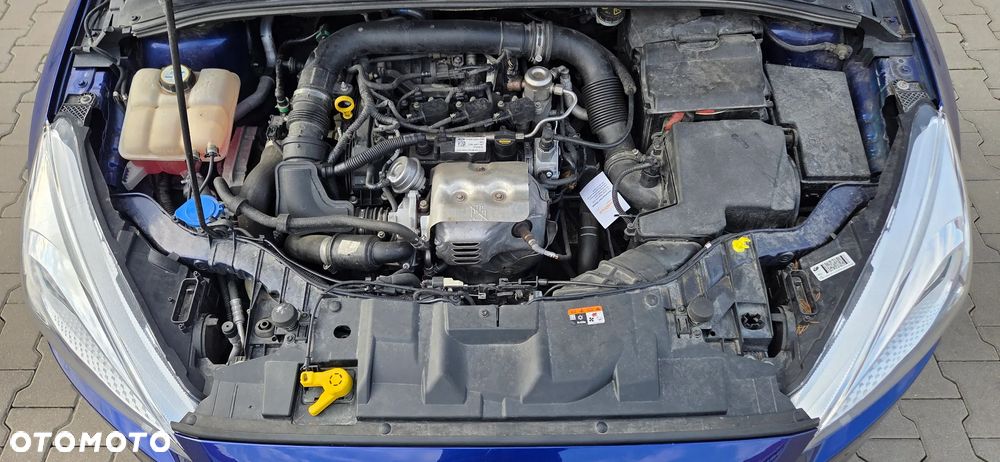 Ford Focus 1.0 EcoBoost 99g Trend - 15