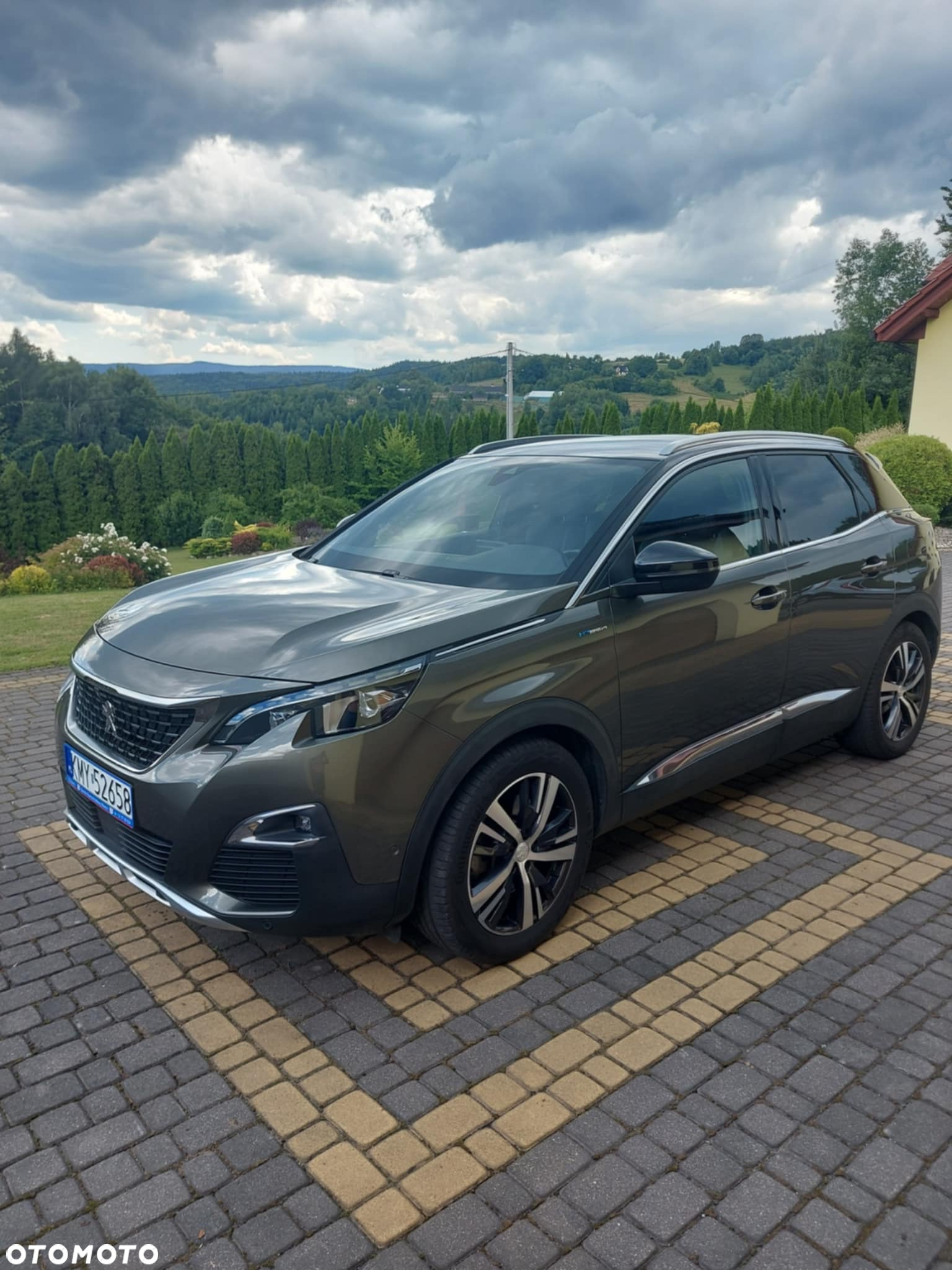 Peugeot 3008 - 15