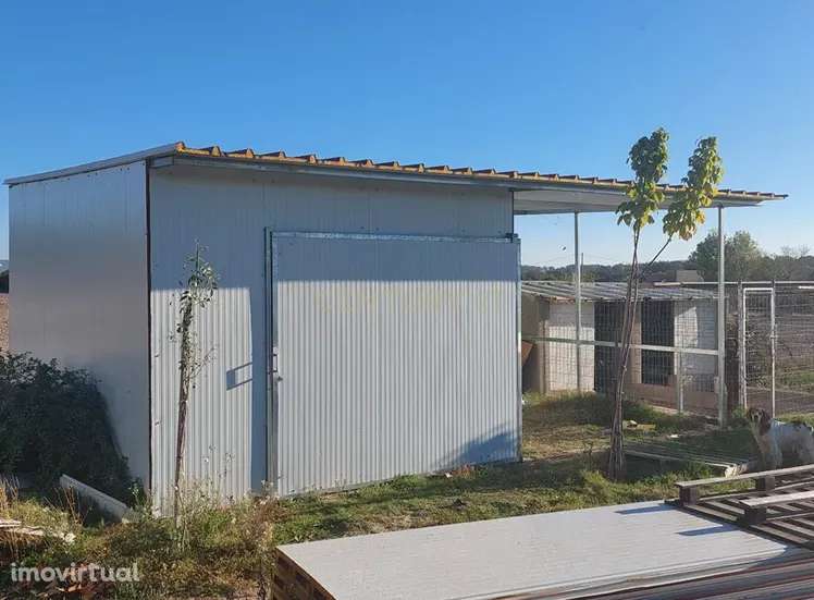 Quinta em Soalheira, Fundão - Oportunidade Única! - Grande imagem: 3/13