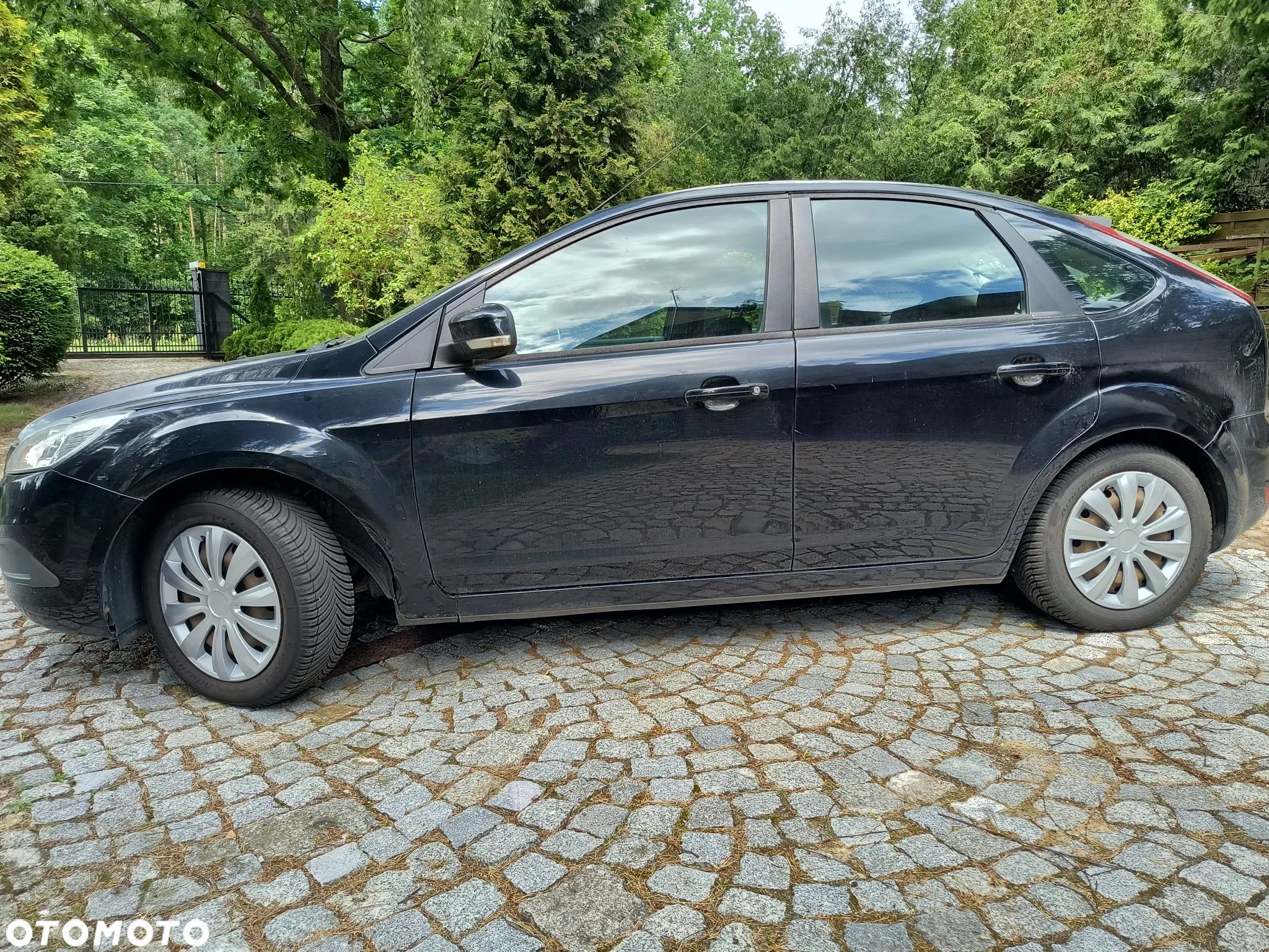 Ford Focus - 1