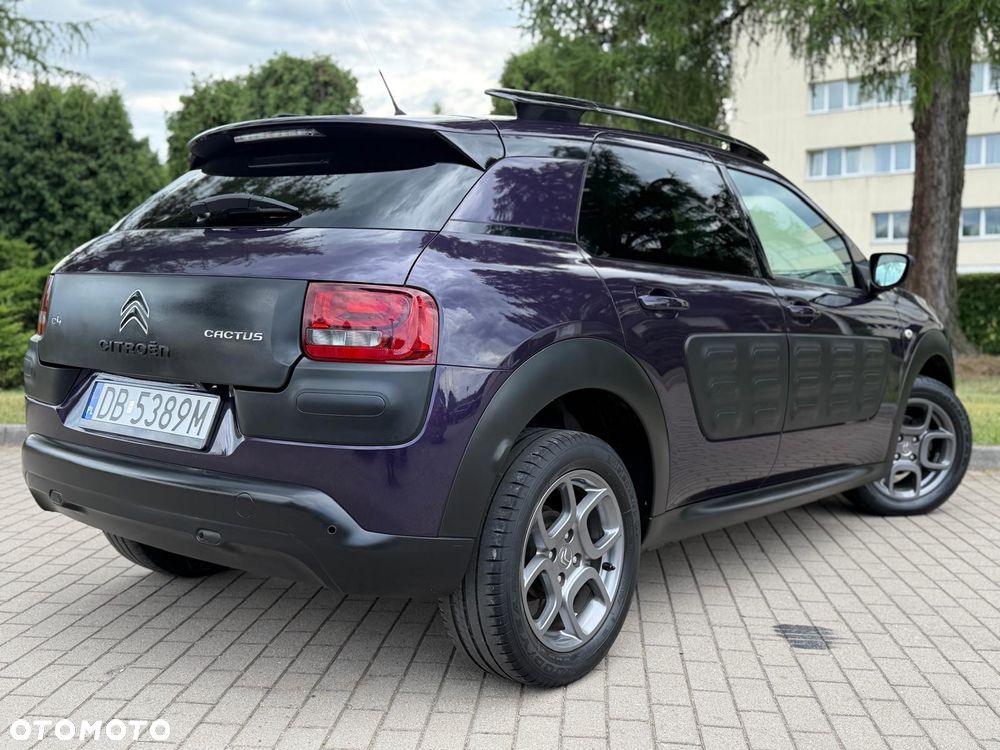Citroën C4 Cactus PureTech 110 Stop&Start Origins - 17