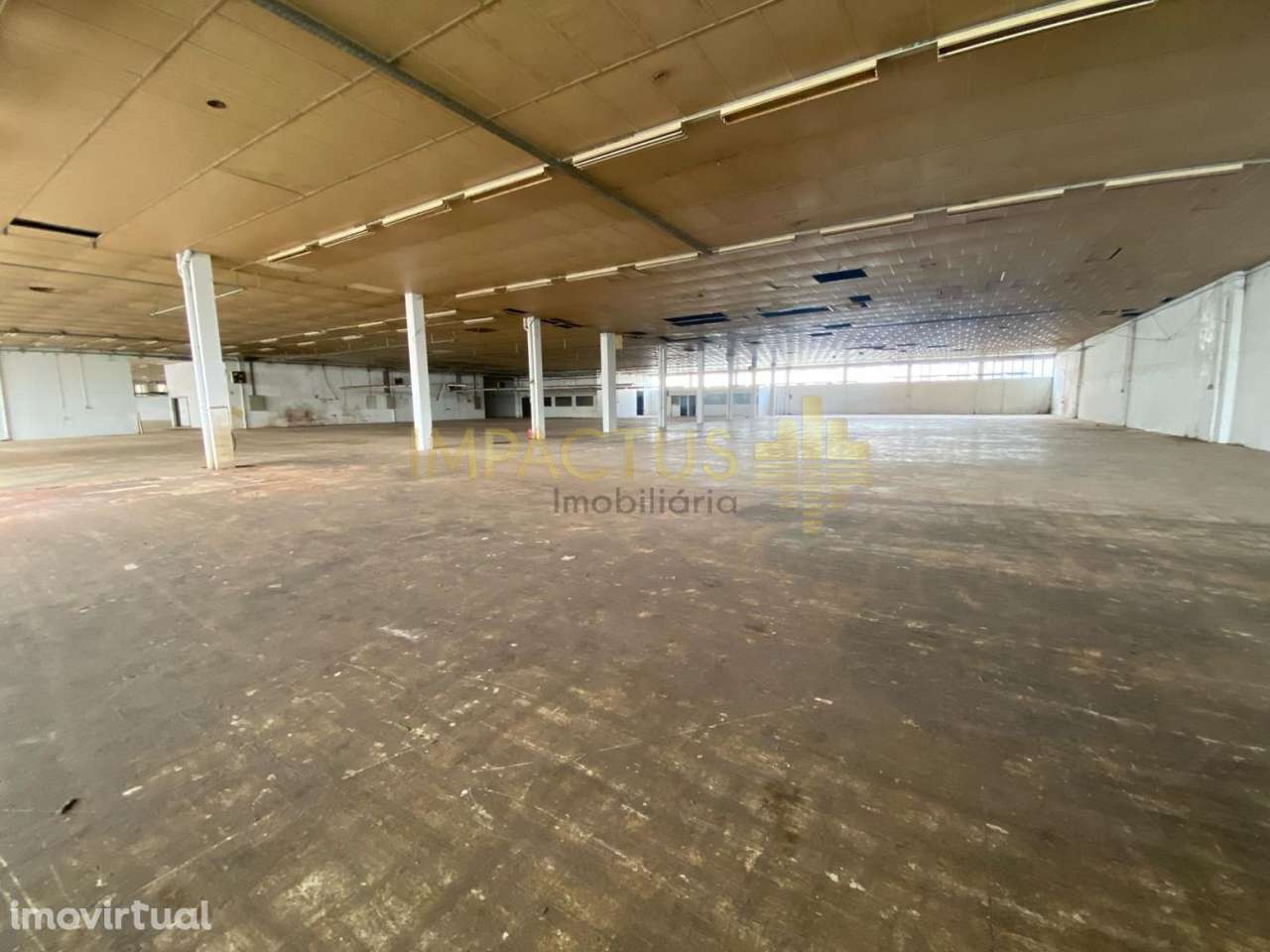 Armazém inserido em Zona Industrial - Grande imagem: 4/36