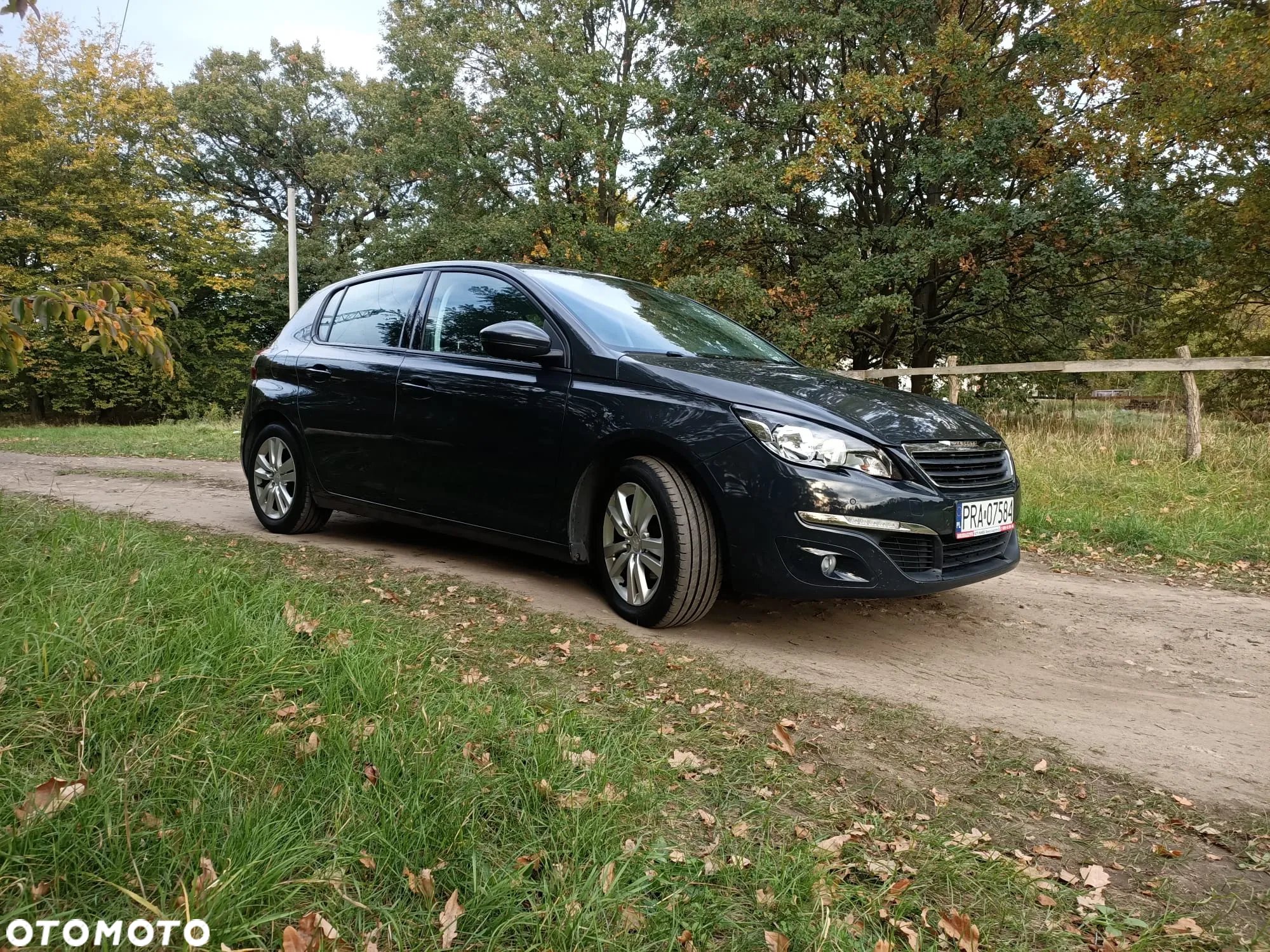 Peugeot 308 1.6 THP Active - 2
