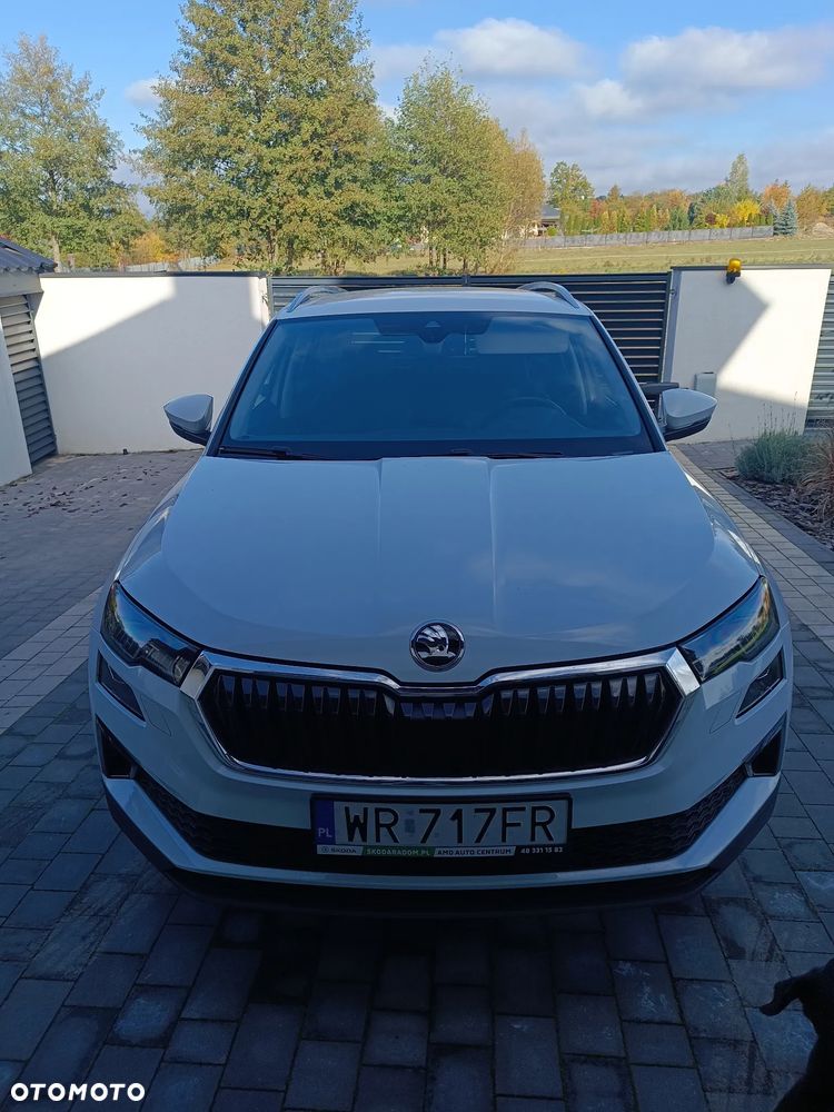 Skoda Karoq 2022 photo 2