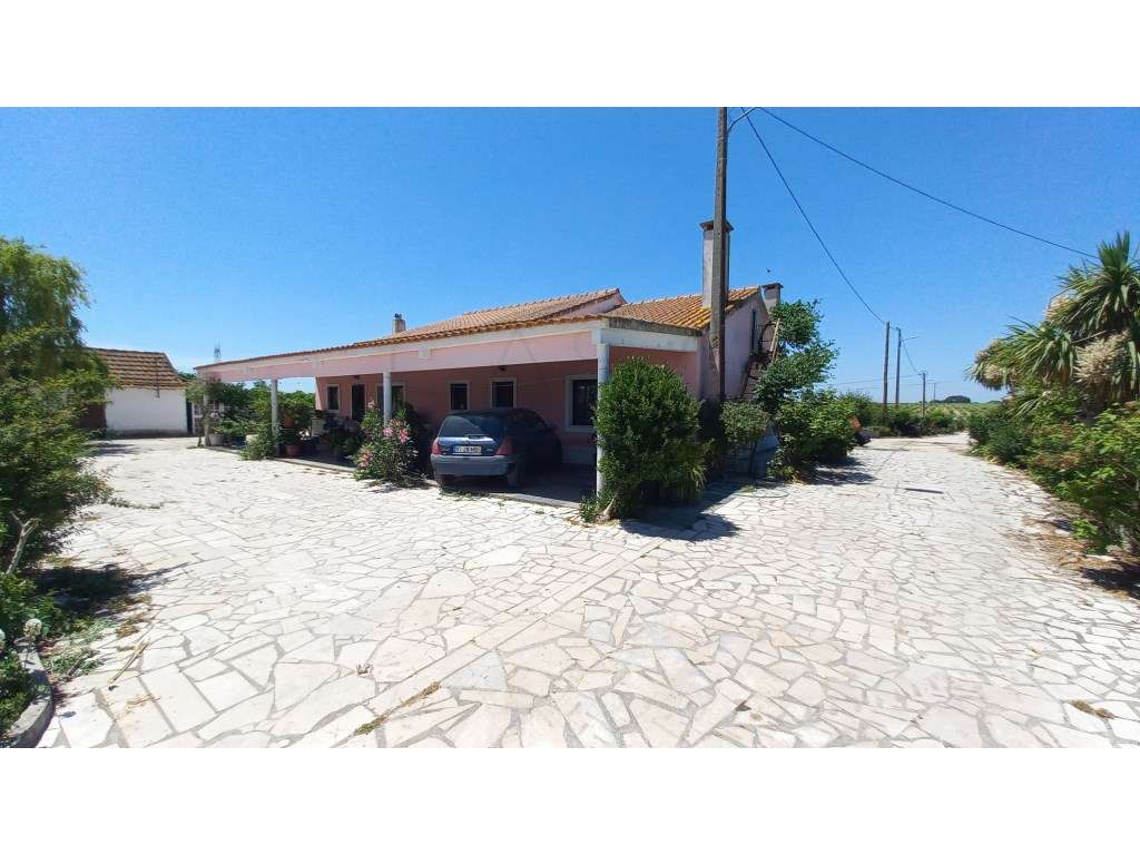 Moradia T3 com vinha em produção próxima de Setúbal - Grande imagem: 5/32
