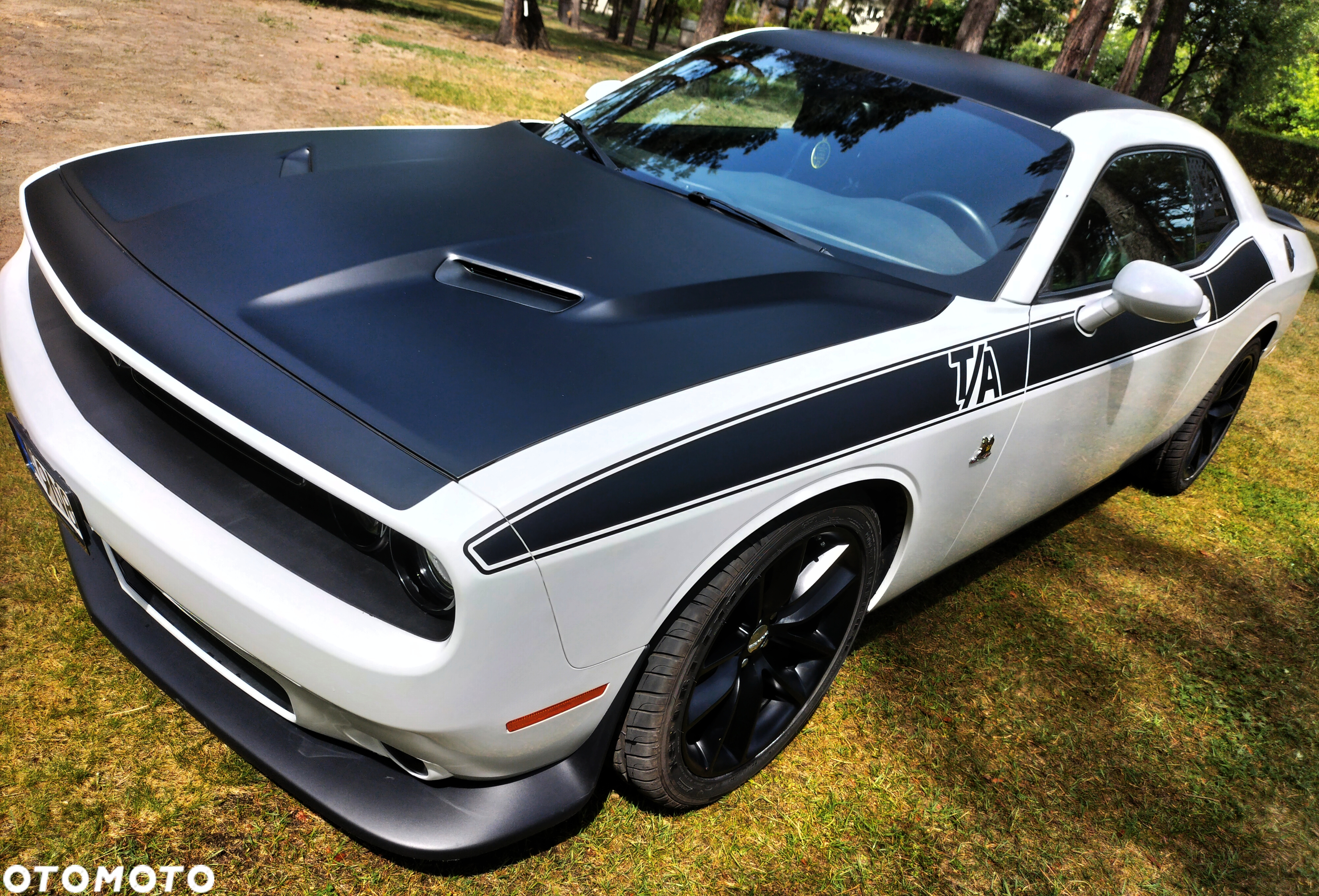 Dodge Challenger 6.4 Scat Pack - 10