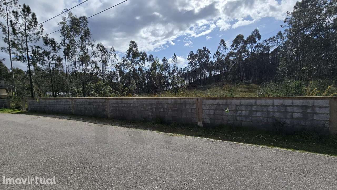 Excelente Terreno para Construção em Romariz! - Grande imagem: 2/6