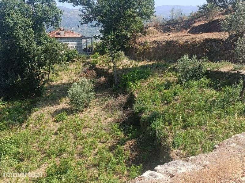 Vende-se terreno rústico em Ancede, com vista rio Douro - Grande imagem: 4/9