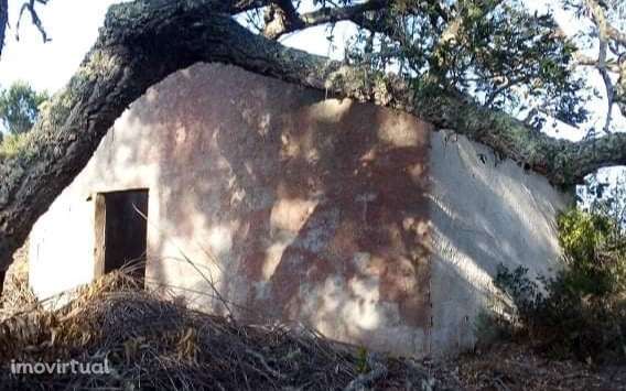 Terreno rústico em Espantadiça - Grande imagem: 2/2