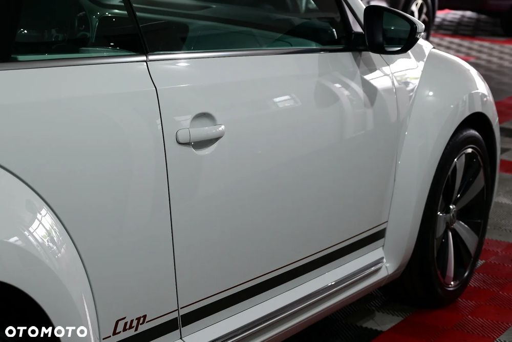 Volkswagen Beetle - 33