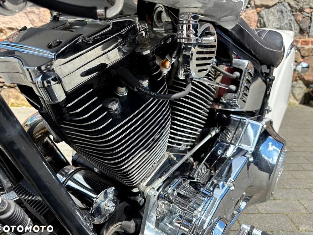 Indian Chief - 16