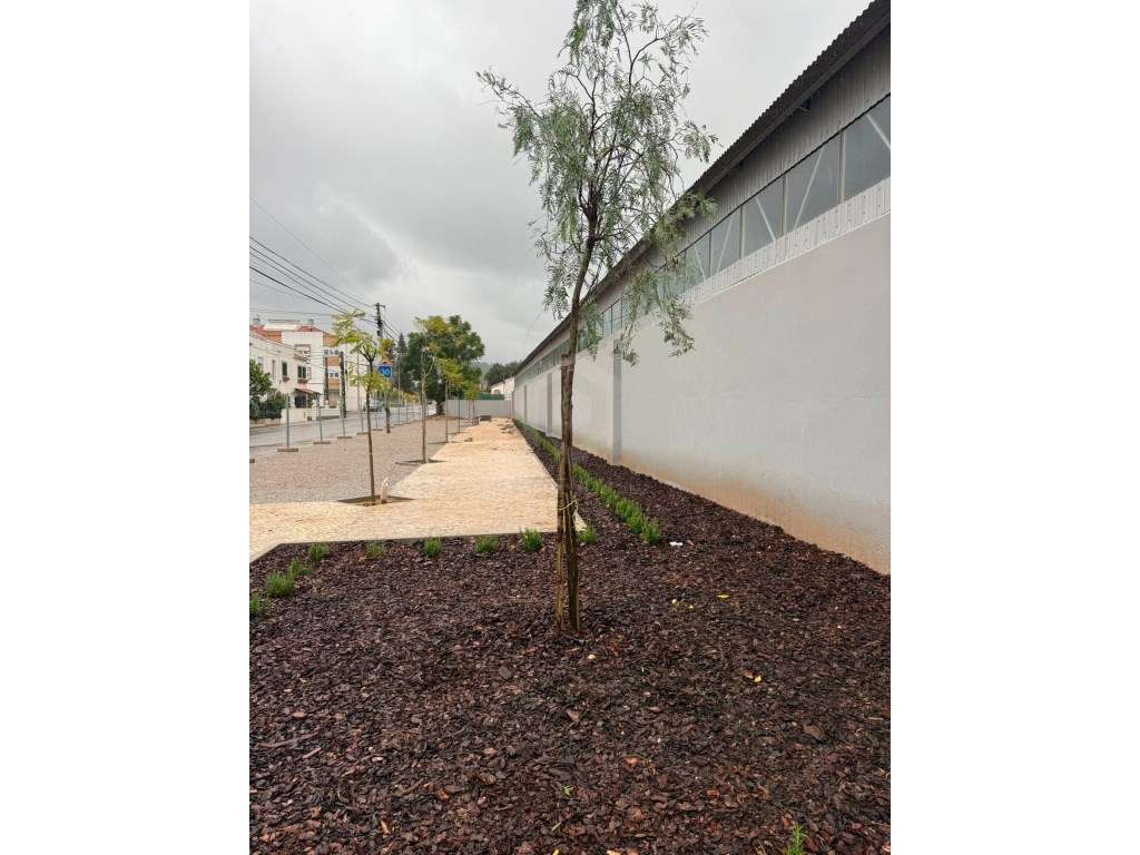 Armazém em Vendas de Azeitão Fracção 3 - Grande imagem: 2/41