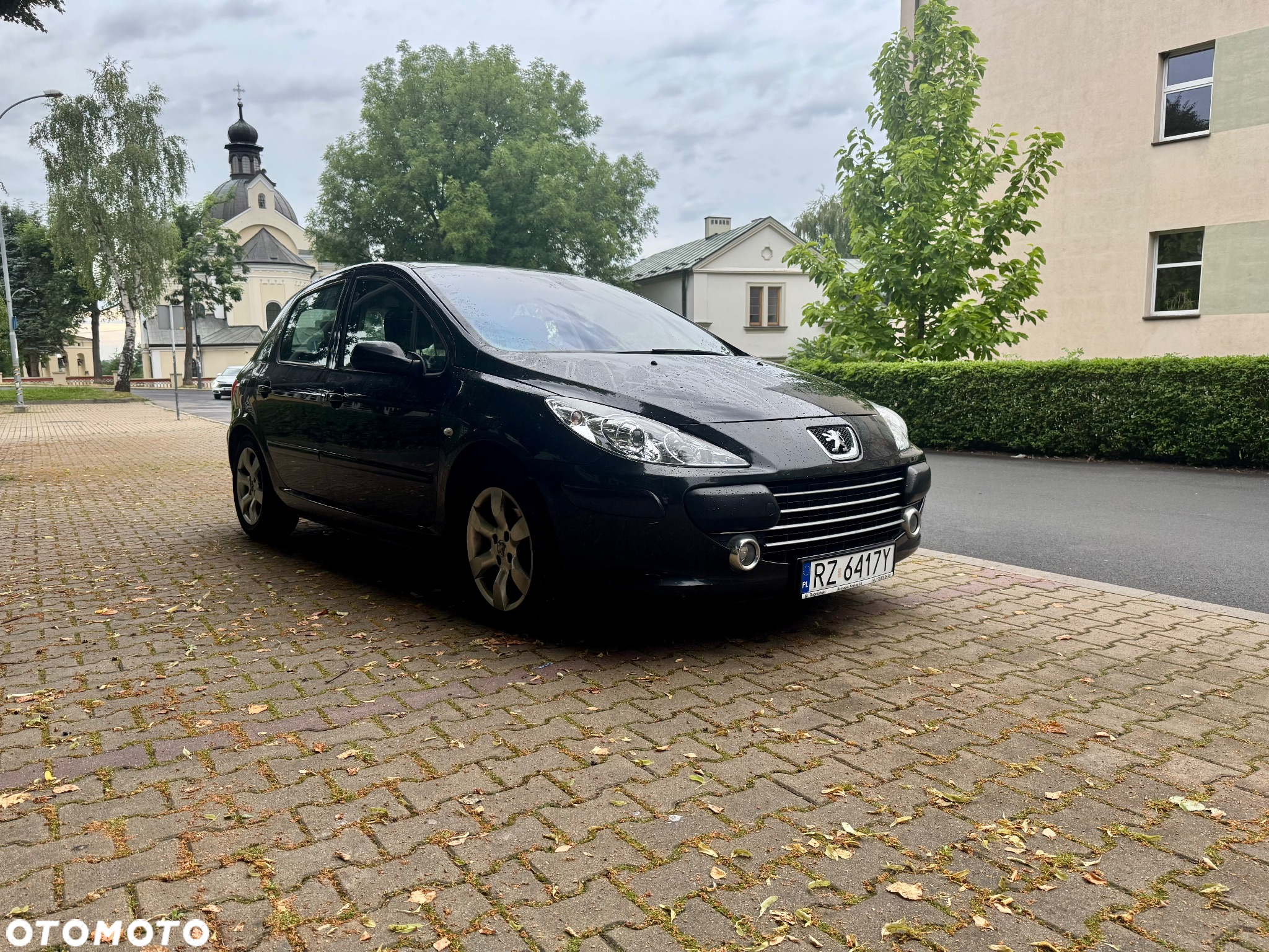 Peugeot 307 140 Sport - 2