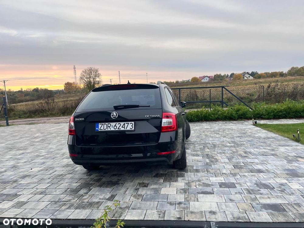 Skoda Octavia 2017 photo 5