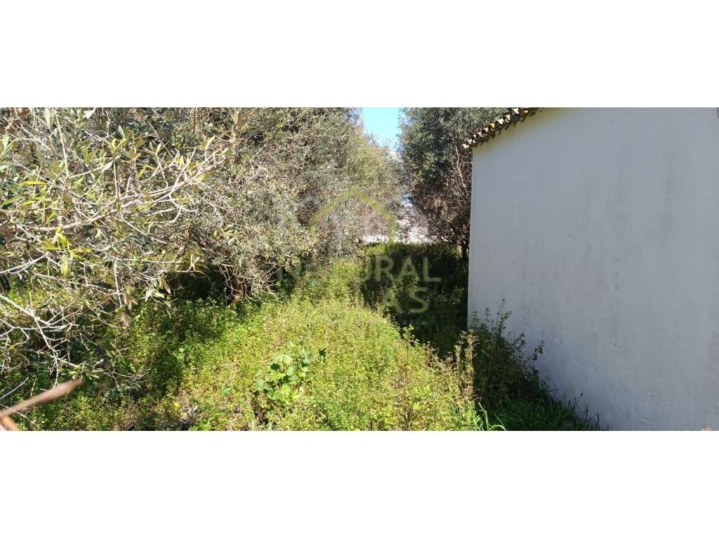 Terreno de 1.958m2 para arrendamento em Conceição, Faro - Grande imagem: 2/5