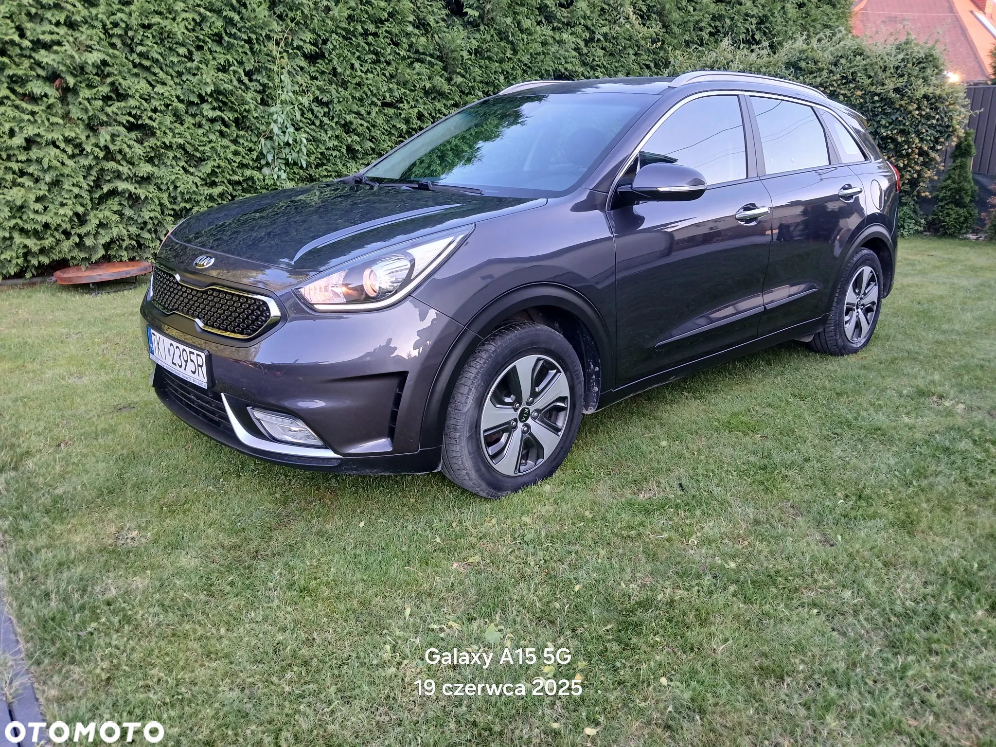 Kia Niro 1.6 GDI Hybrid Business Line - 15