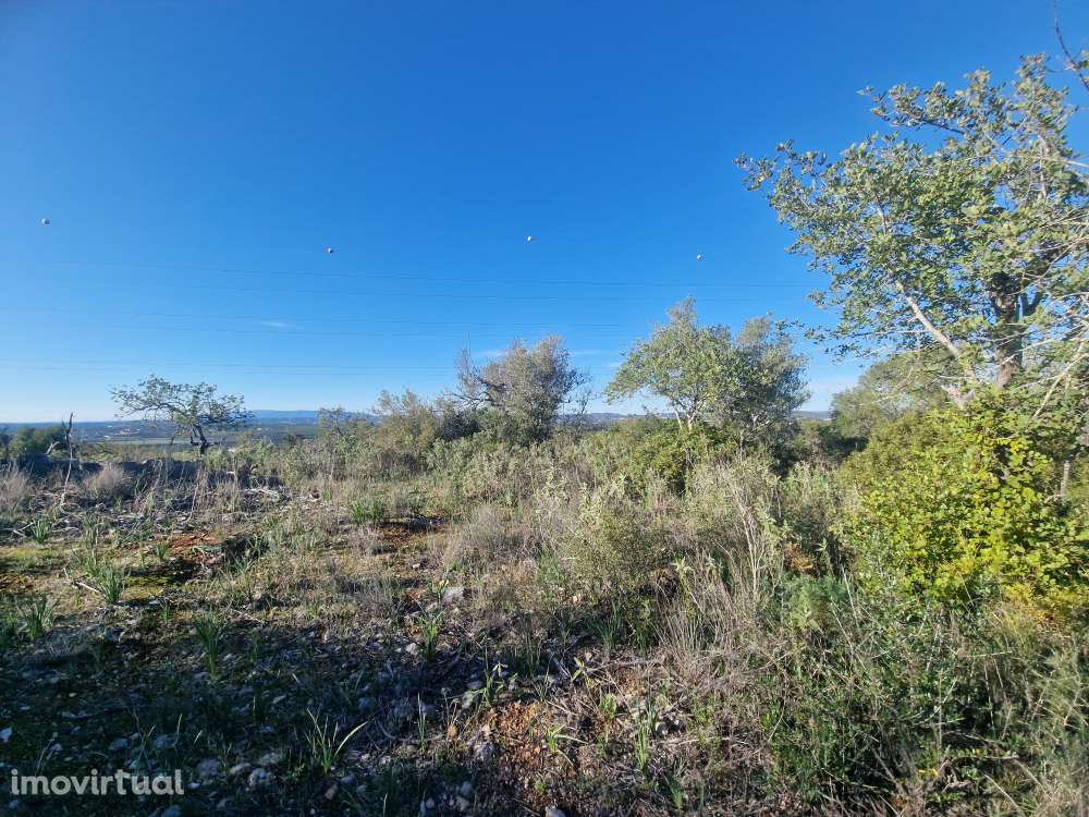 Terreno Misto com Projeto Aprovado e Licenciado - Tunes - Grande imagem: 5/31