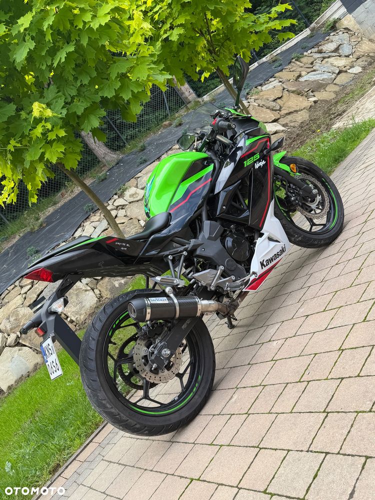 Kawasaki Ninja - 7