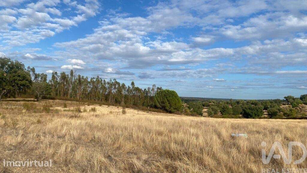 Terreno Agrícola em Galveias - Grande imagem: 2/7