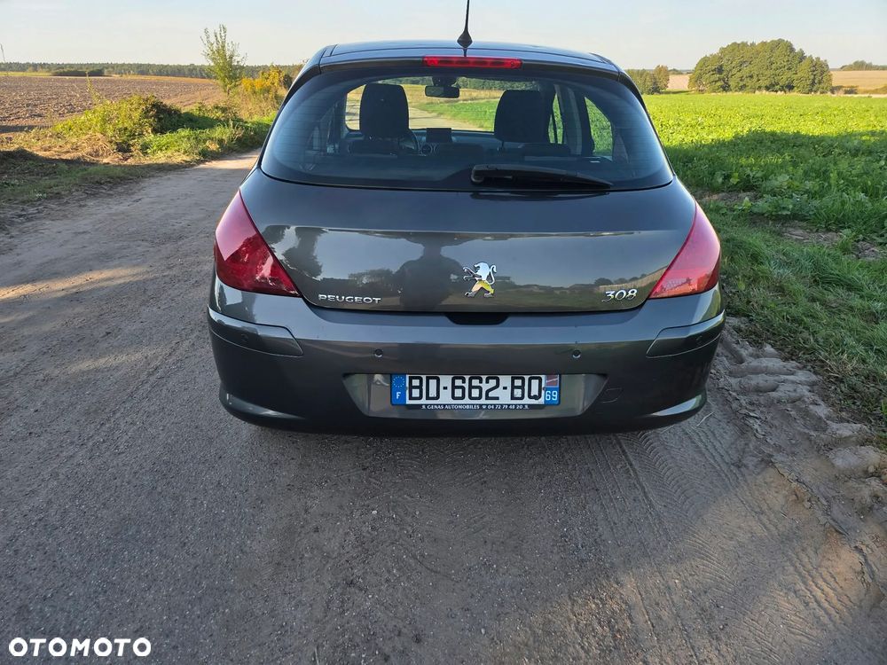 Peugeot 308 - 15