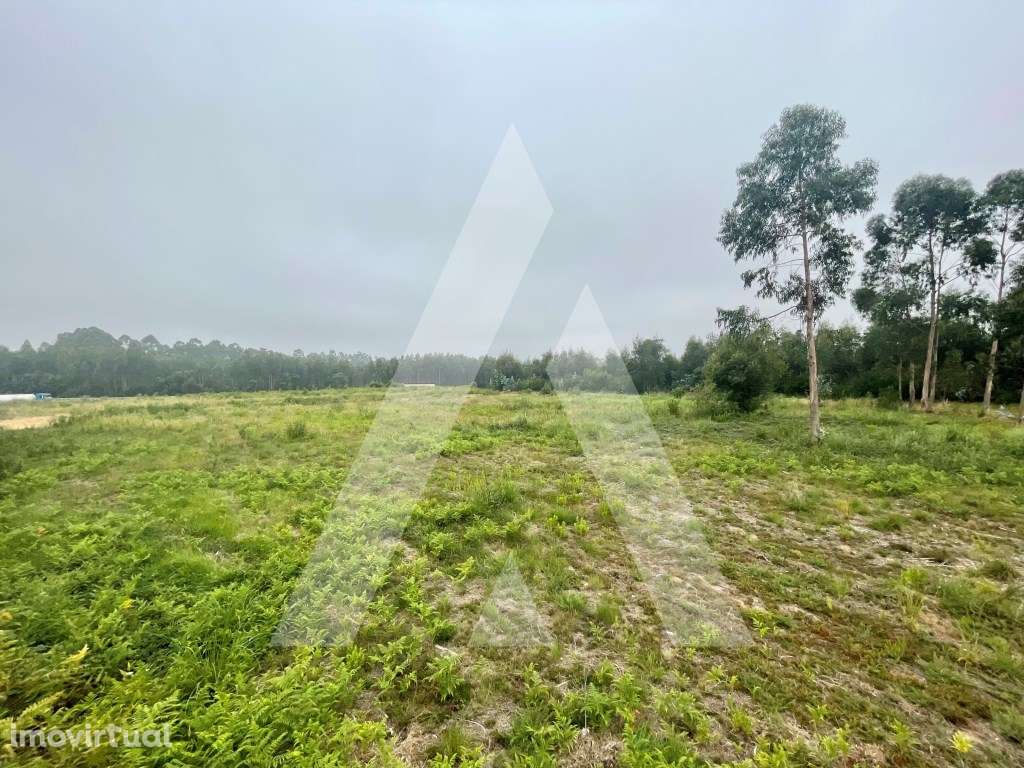 Terreno para construção em Rio Meão - Santa Maria da Feira - Grande imagem: 5/12