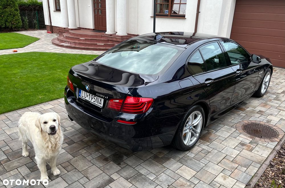 BMW Seria 5 530d xDrive - 6