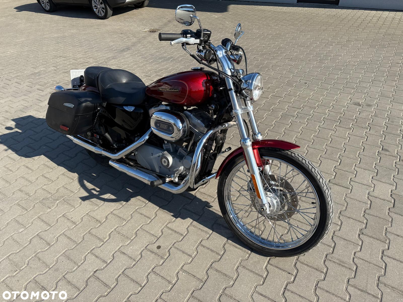 Harley-Davidson Sportster Custom 883C - 2