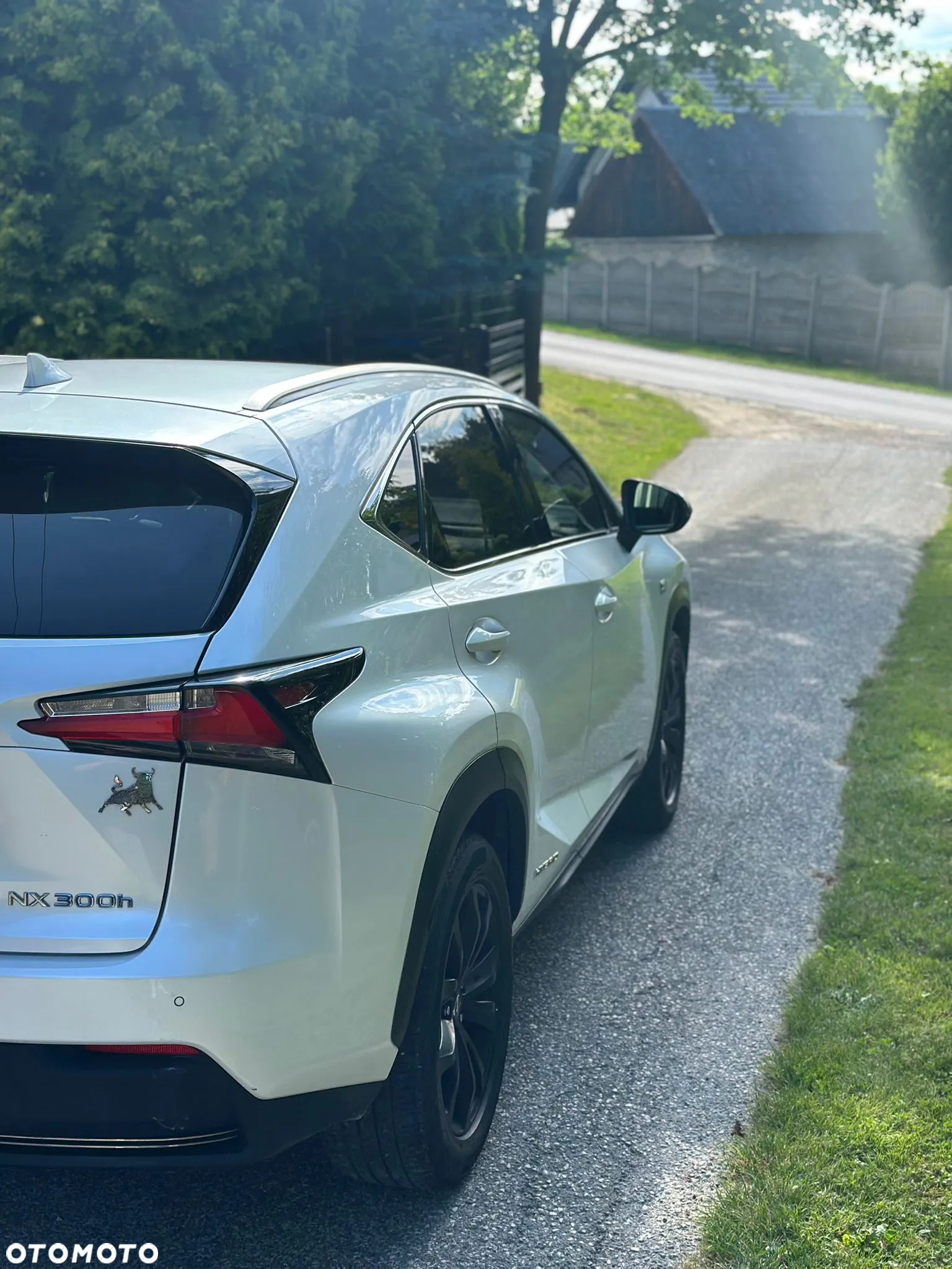 Lexus NX 300h - 10