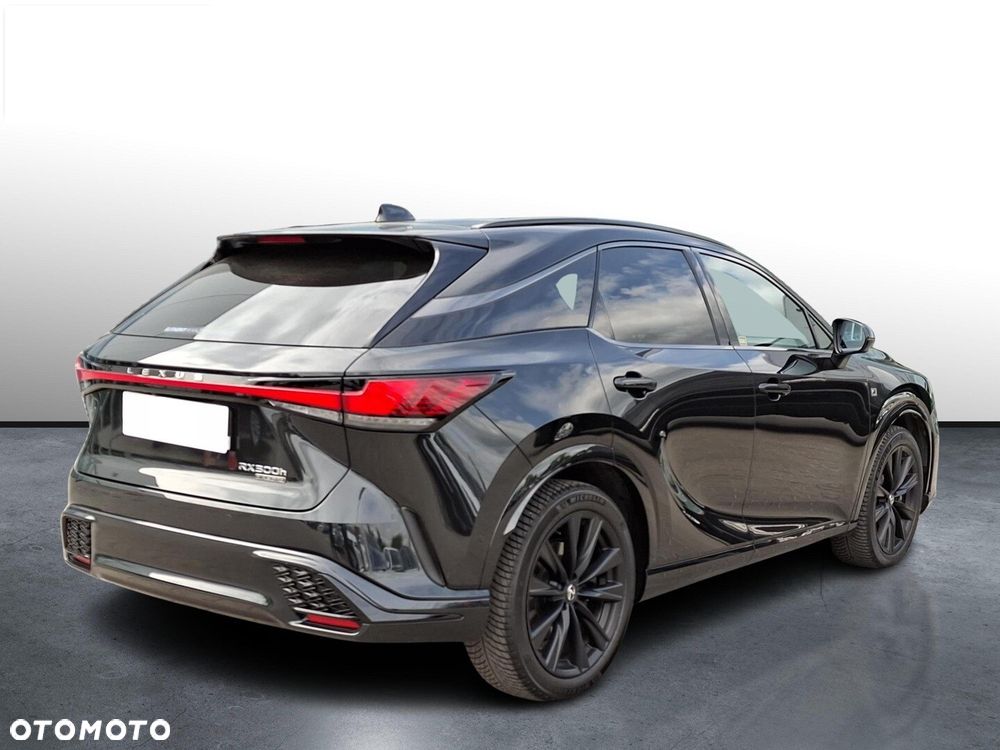Lexus RX - 25