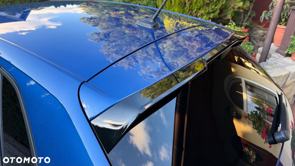 Volkswagen Polo 2.0 TSI GTI DSG - 24