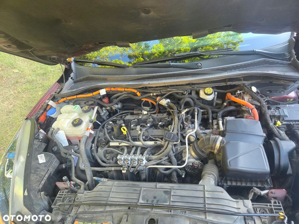 Ford Escape - 14