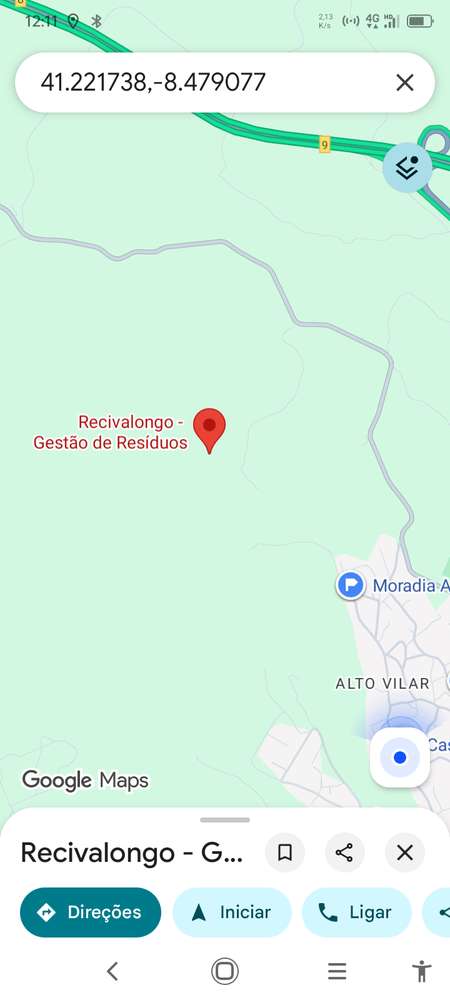 Terreno de eucaliptos