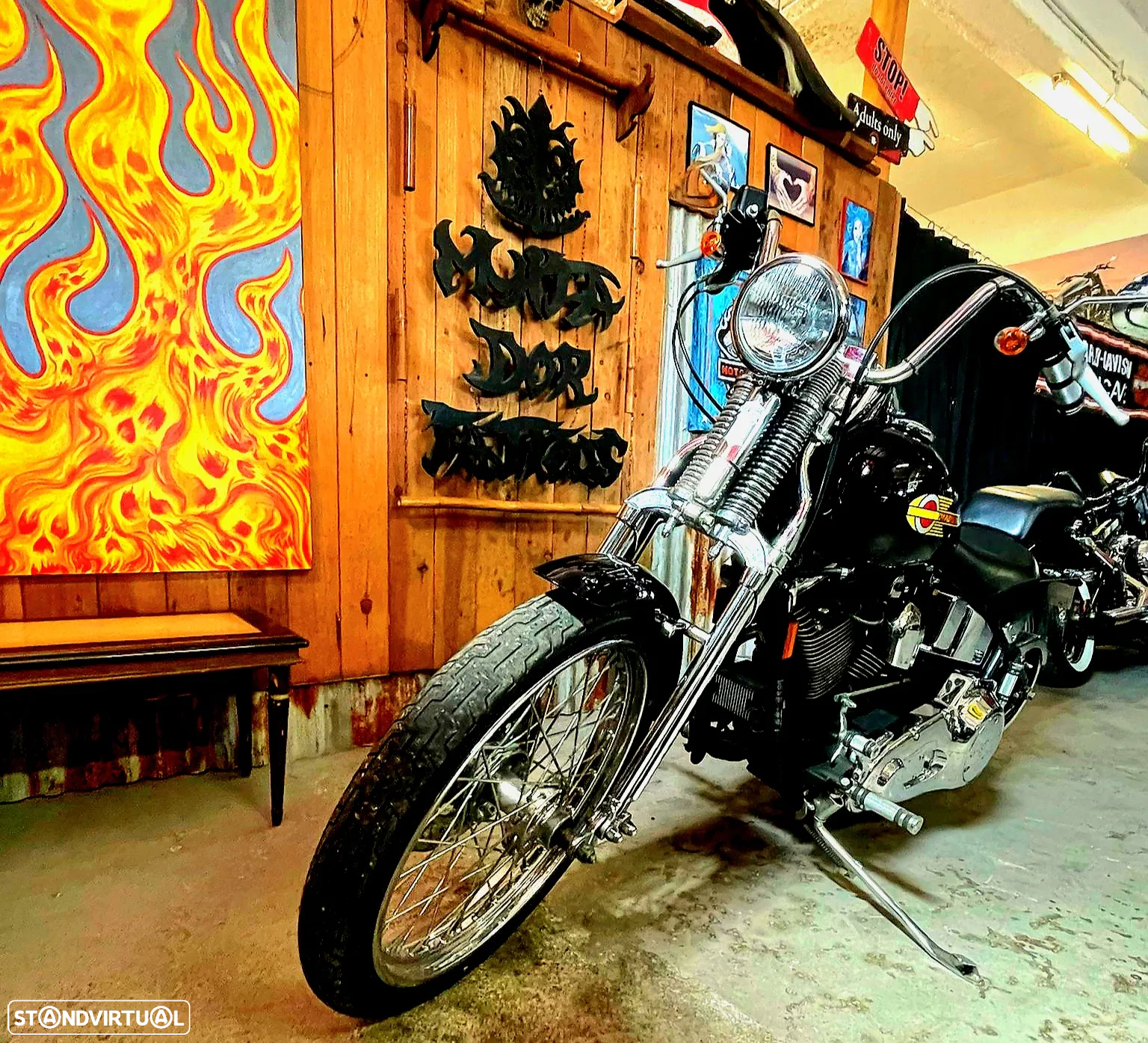 Harley-Davidson FXSTS - 9