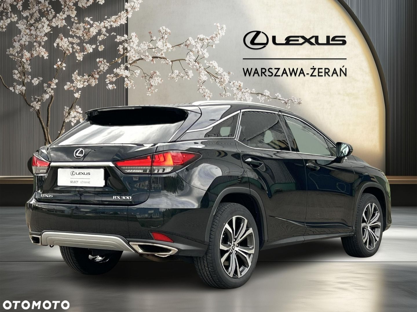Lexus RX 300 F-Impression - 7