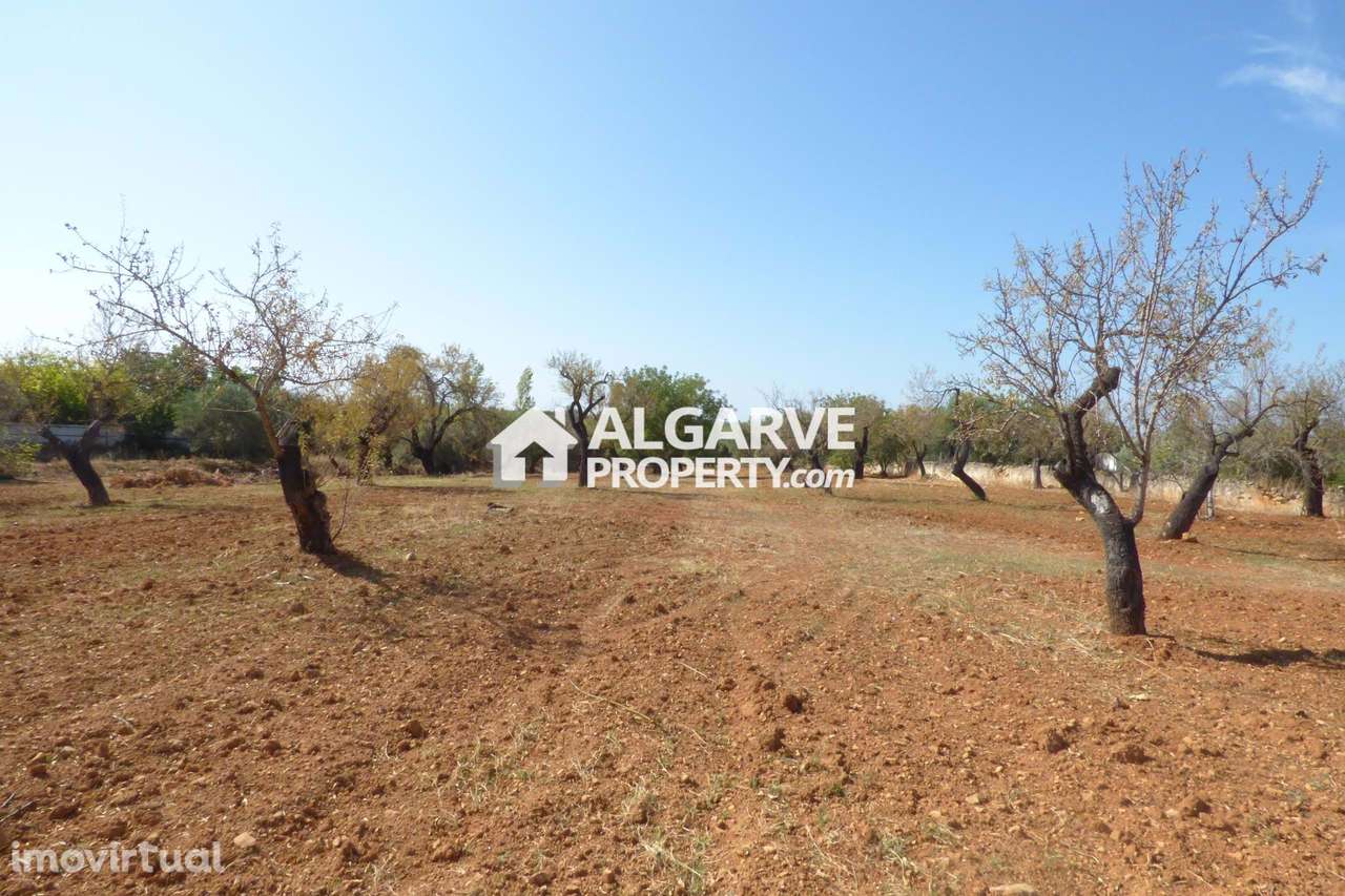ESTOI - Terreno para construção com vista MAR - Grande imagem: 5/10