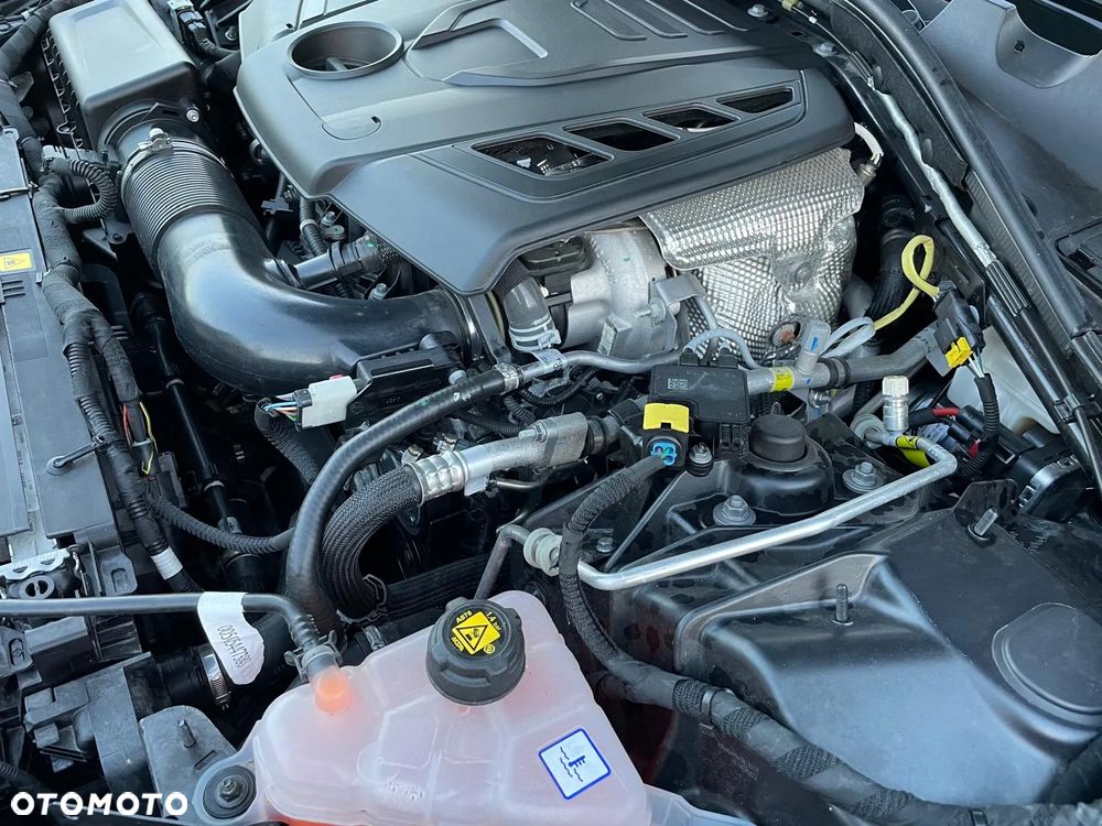 Alfa Romeo Giulia 2.0 Turbo TI Q4 - 14