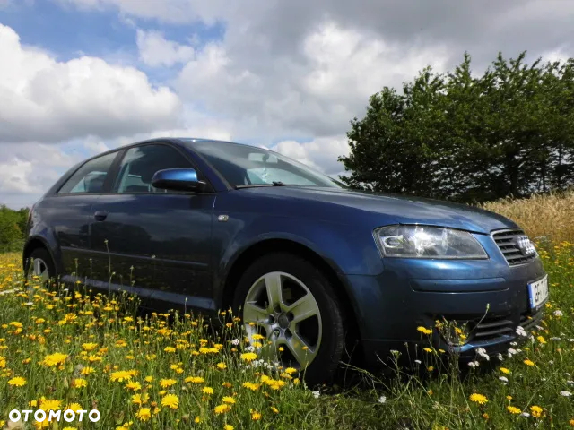 Audi A3 1.6 Attraction - 8