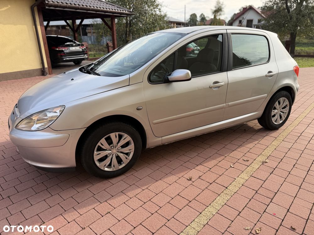 Peugeot 307 2002 photo 3
