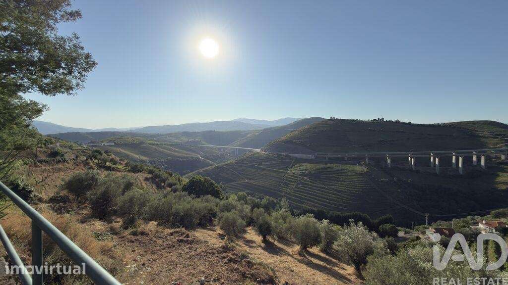 Solar T14 em Vilarinho dos Freires de 1424,00 m2 - Grande imagem: 4/30