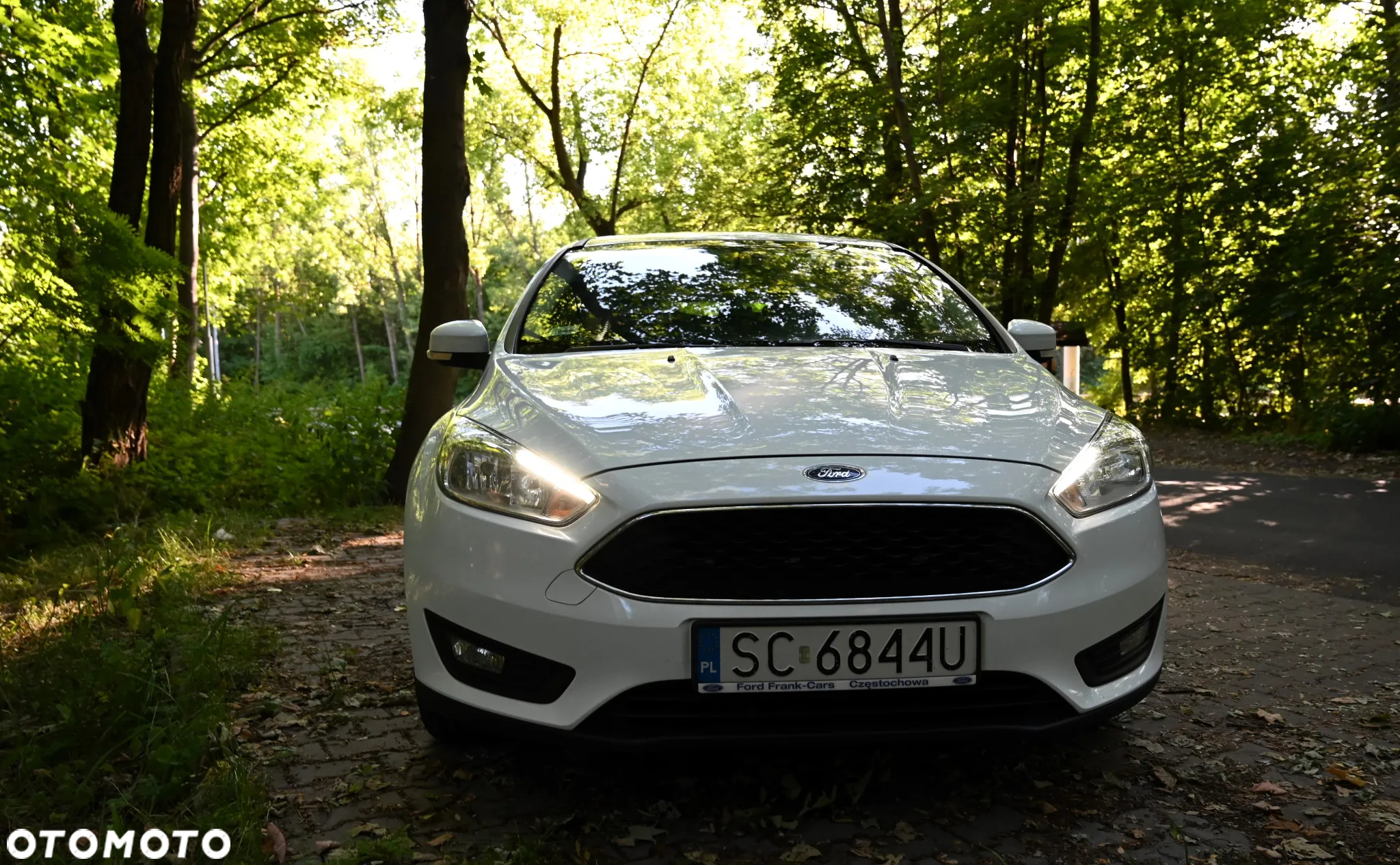 Ford Focus - 4