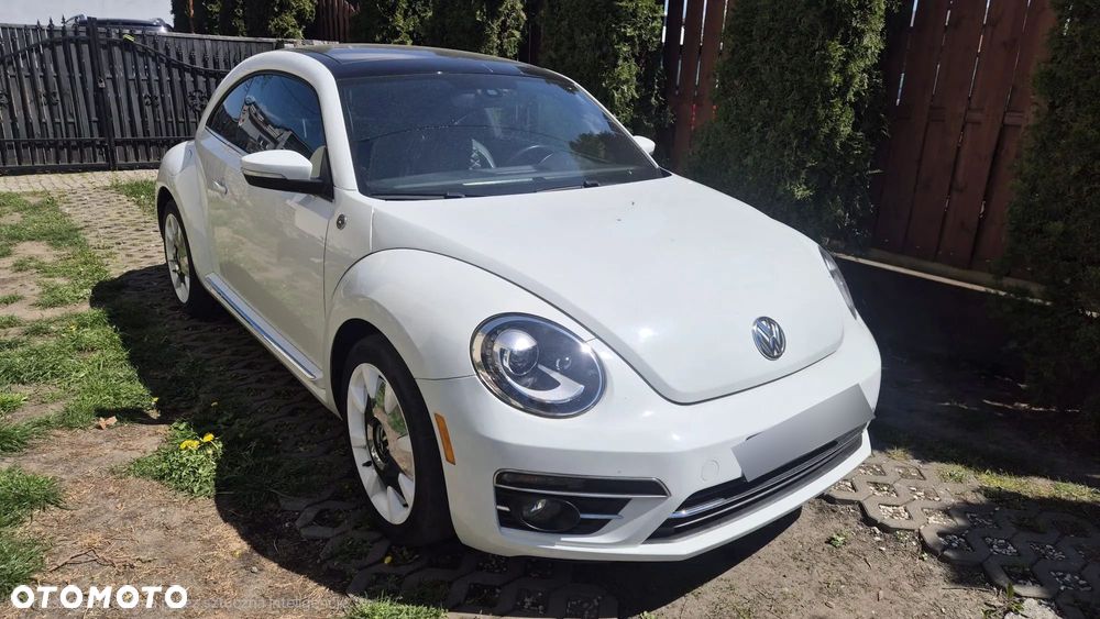 Volkswagen Beetle - 1