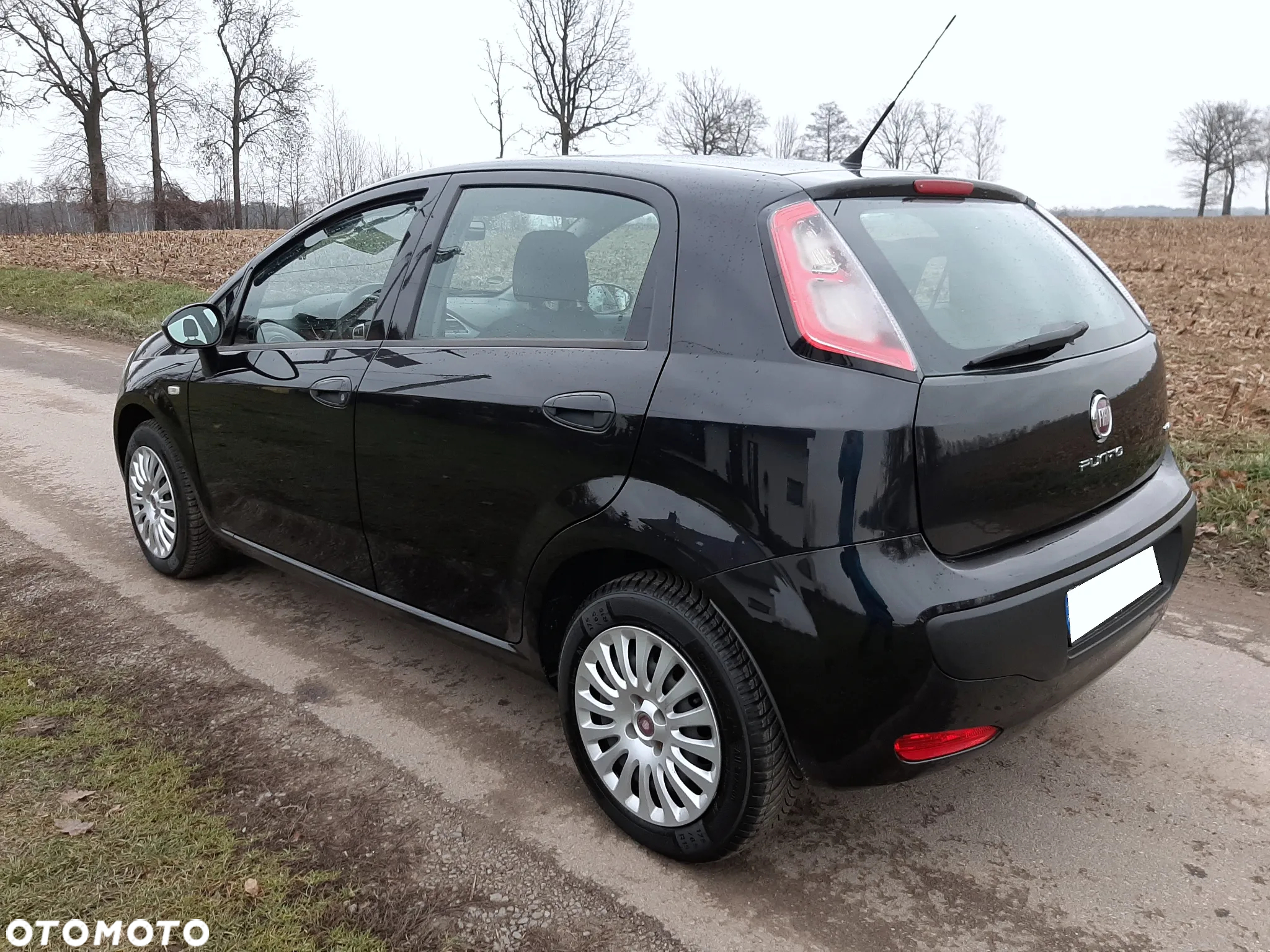 Fiat Punto Evo 1.4 8V Dynamic - 3