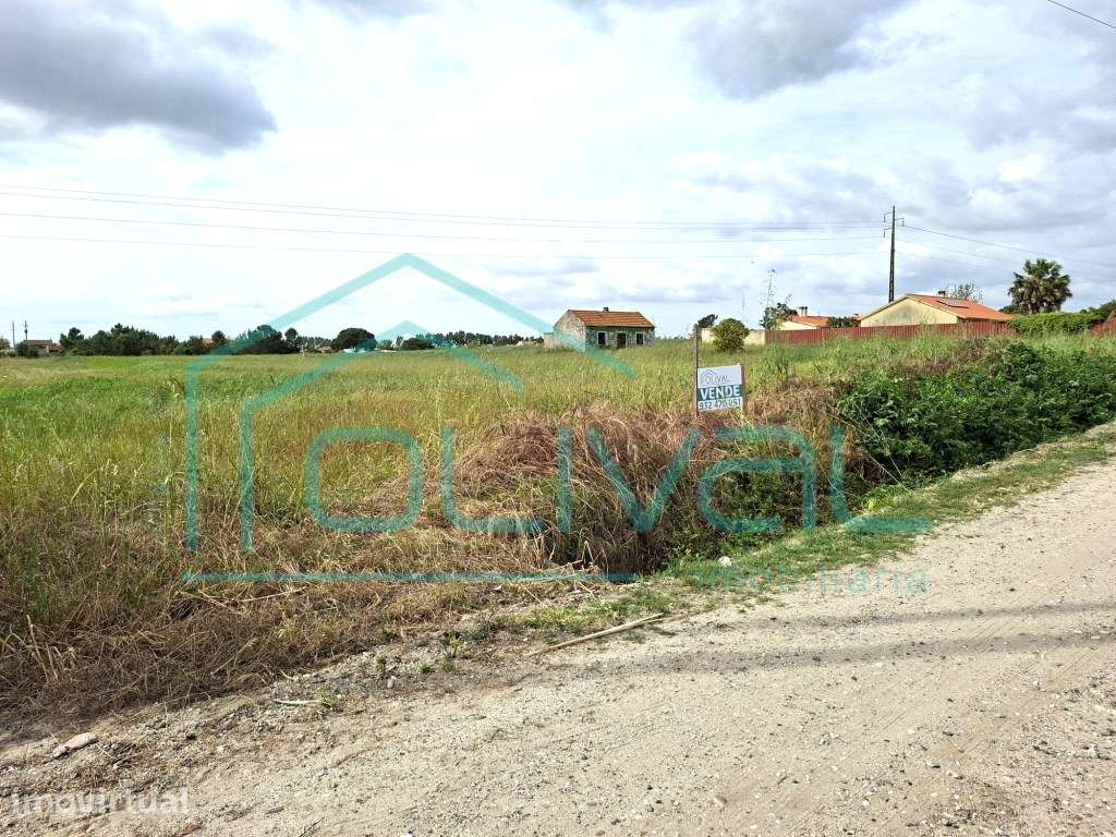 Lote de Terreno 7200m - Foros de Salvaterra - Grande imagem: 3/3