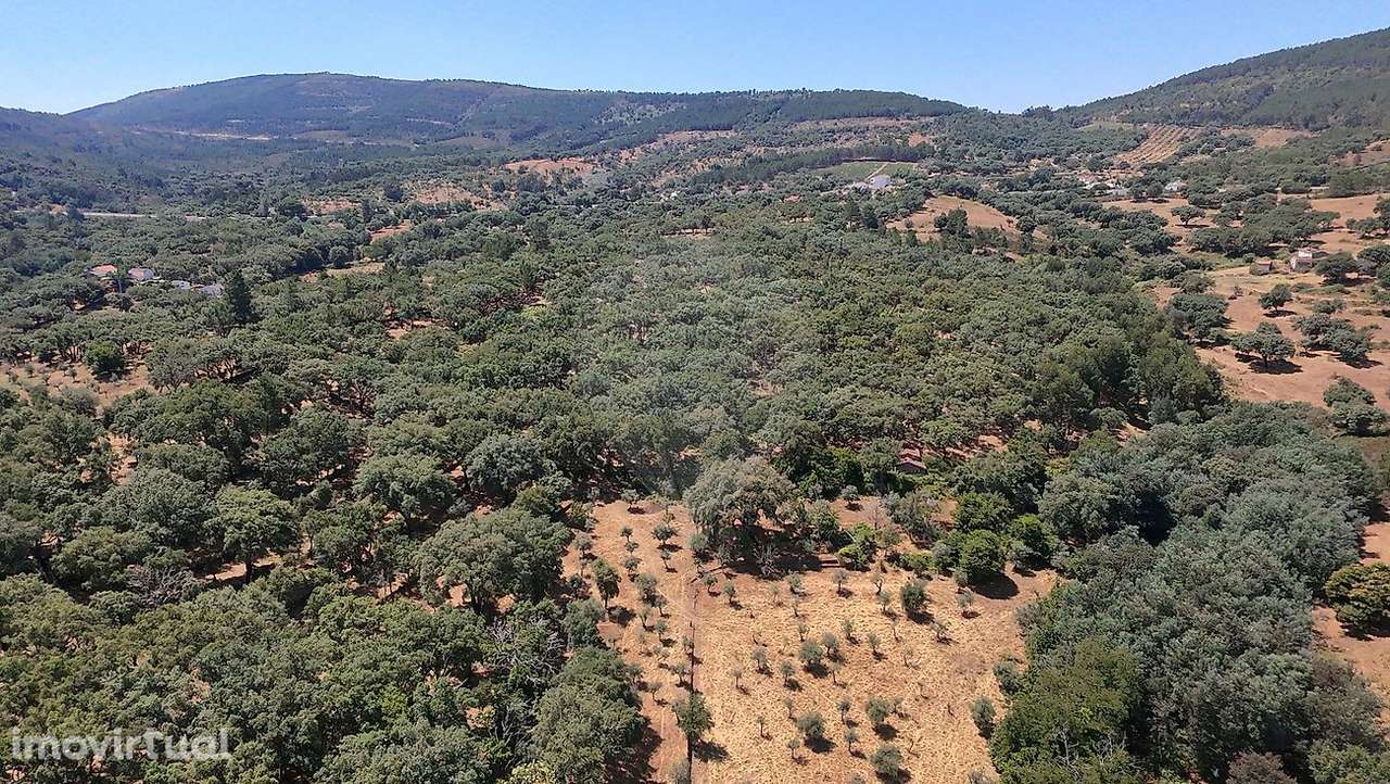 Terreno  para venda - Grande imagem: 5/46