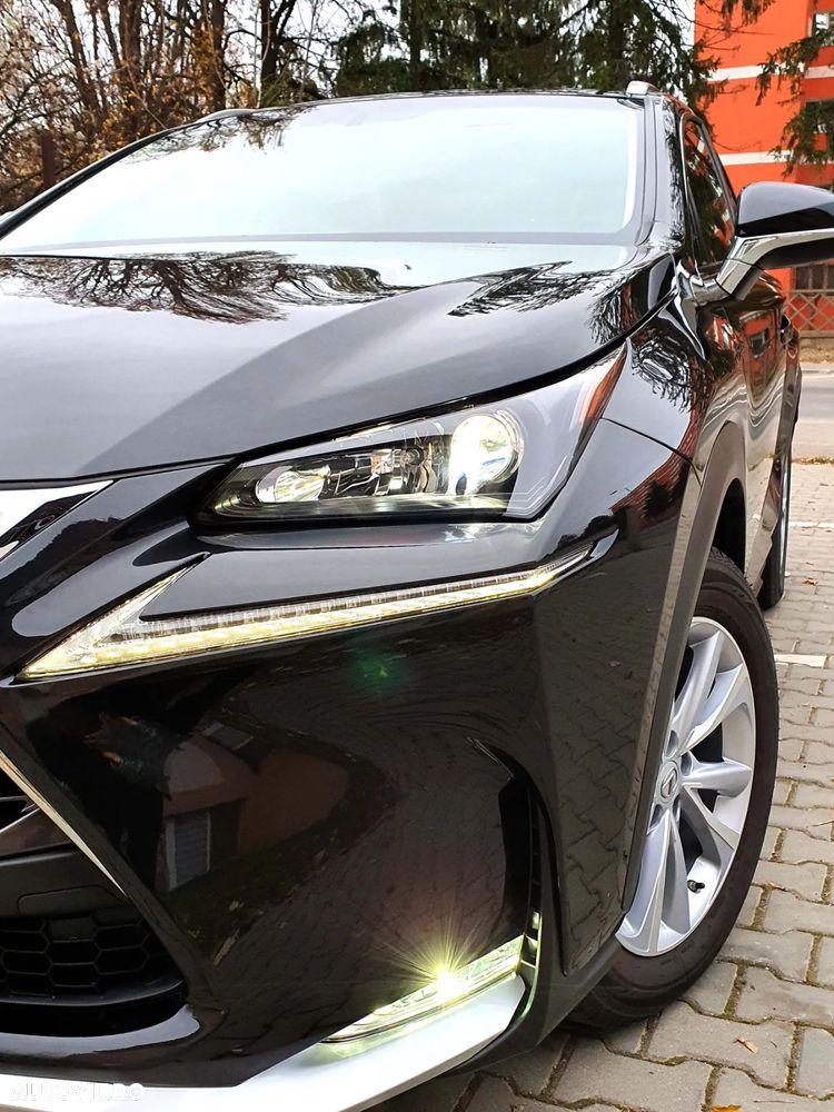Lexus Seria NX 300h AWD Business Plus - 15