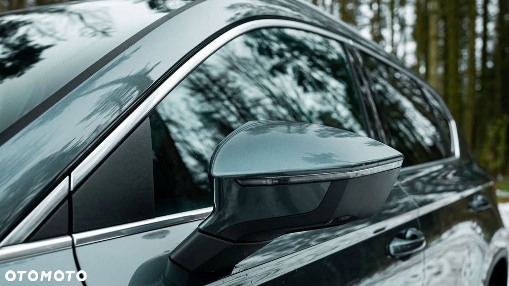 Seat Ateca 1.6 TDI ECOMOTIVE Xcellence S&S DSG - 14