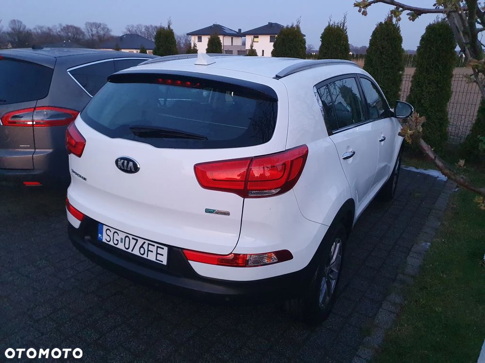 Kia Sportage 1.6 GDI Business Line 2WD - 24